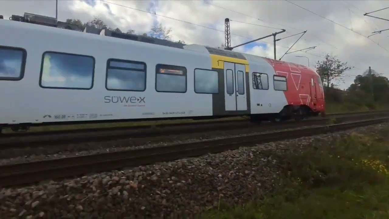 🇩🇪🚄Züge und Eisenbahnaktivität im Bingen Rheinstadt (24 11 2025) 🚄🇩🇪