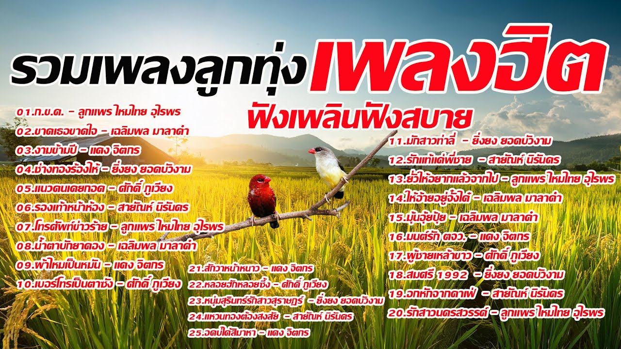 รวมเพลงลูกทุ่งเพลงฮิตฟังเพลินสบาย