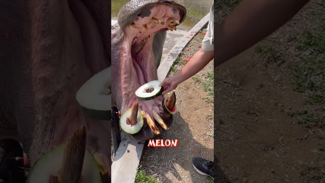 #Растерянный