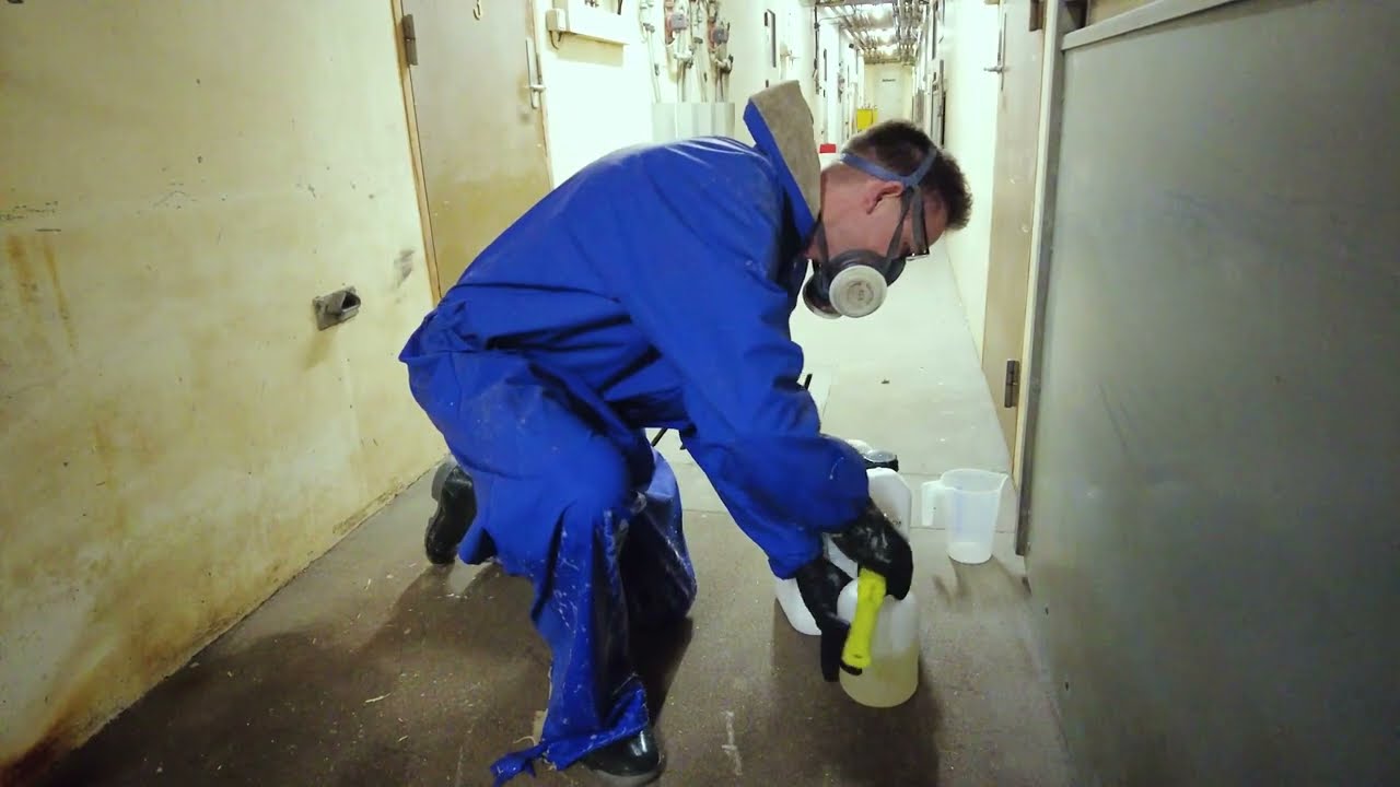 Hygiejne betaler sig