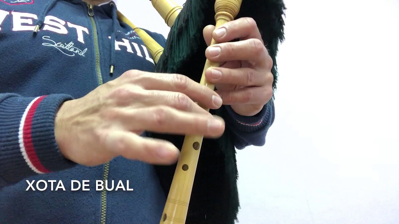 Xota de Bual