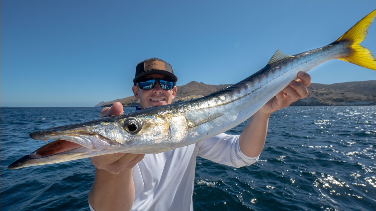 PACIFIC Barracuda *Trash Fish* Taste Test...
