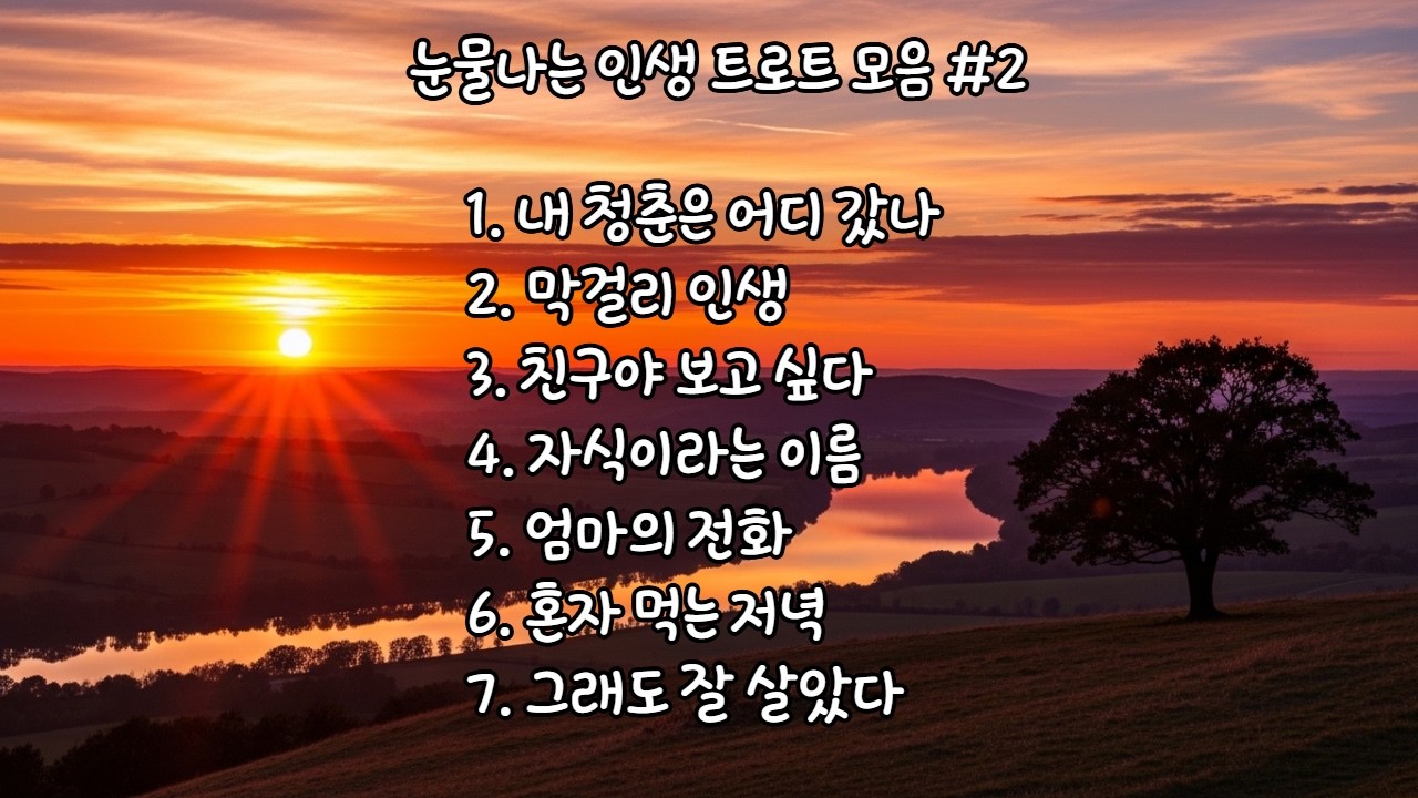 눈물나는 인생 트로트 모음2  | 인생 이야기 노래 #ai노래  #트로트 #눈물 #감동 #인생