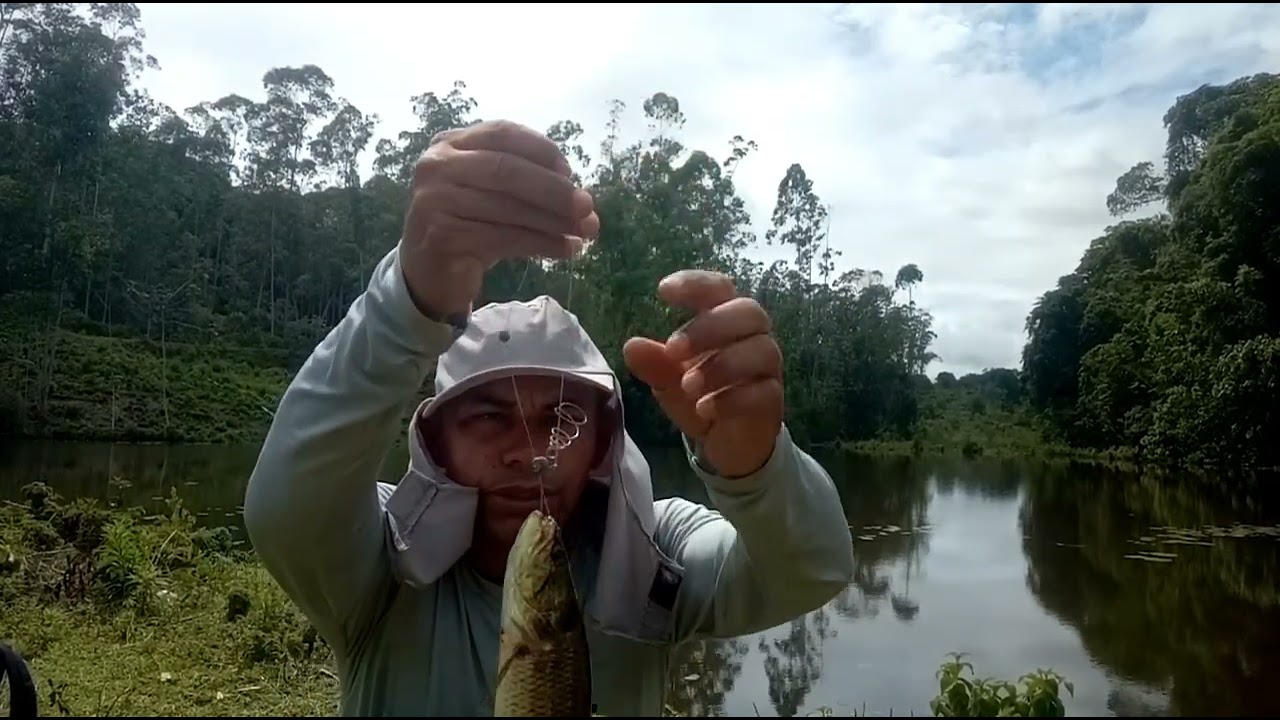 Não precisa comprimido pra se acalmar, precisa disso!🏞️🐟🐠