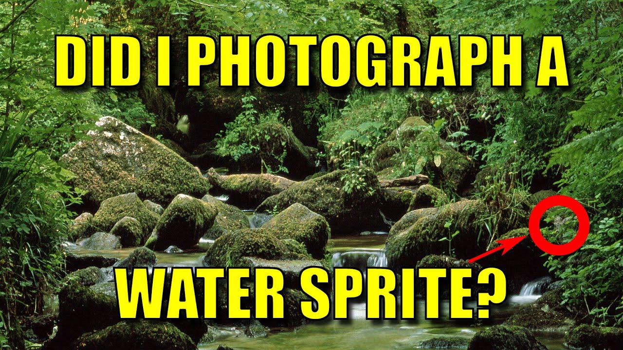 Did I Photograph a Water Sprite in Kennall Vale?