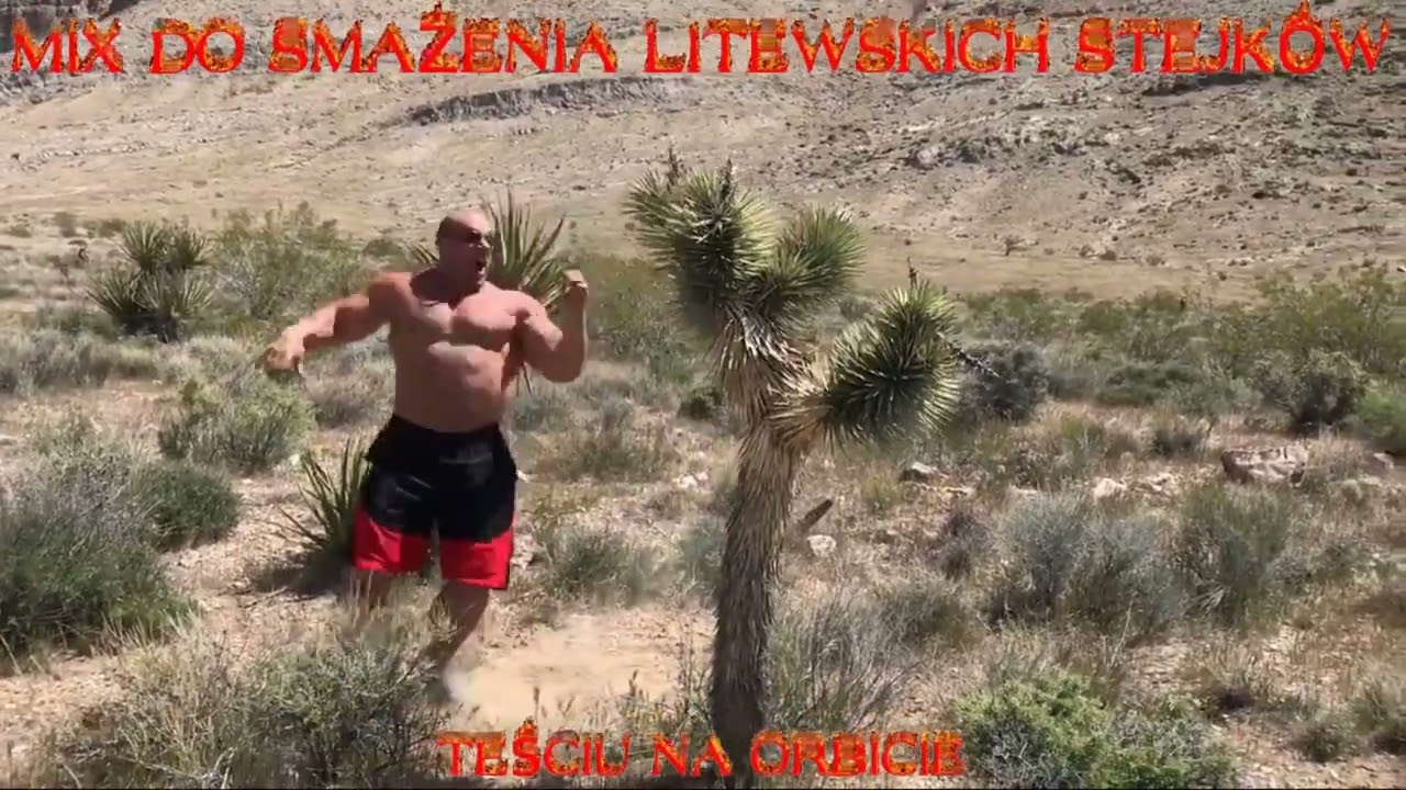 MIX DO SMAŻENIA LITEWSKICH STEJKÓW