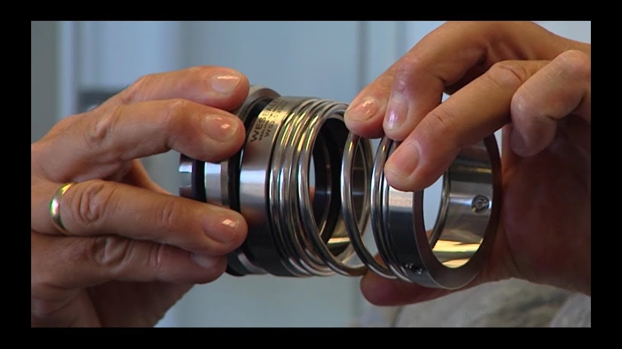 Wesealit BV mechanical seals RTL7 Ondernemend Nederland