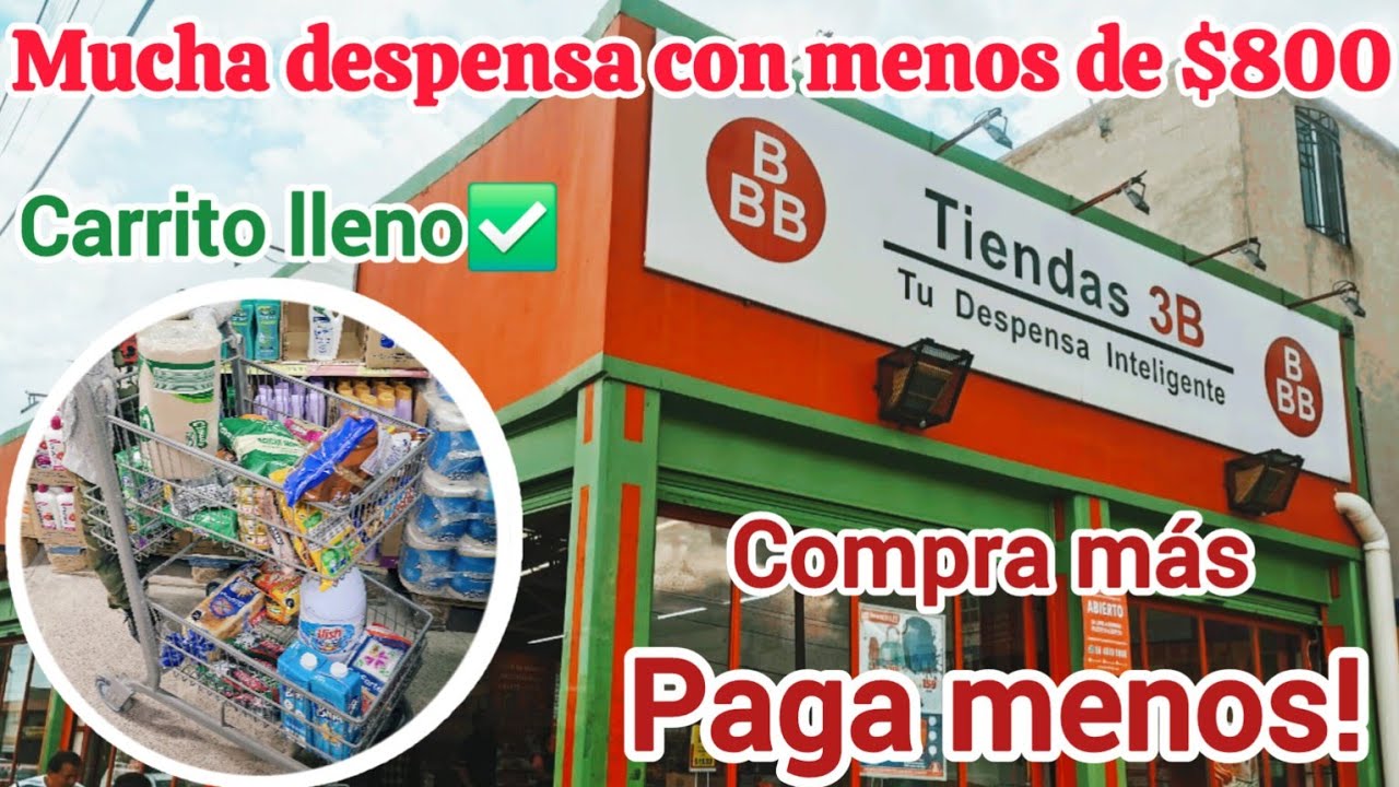 🛒DESPENSA MENSUAL/COMPRA MÁS, PAGA MENOS✅️TODO ESTO COMPRAMOS CON MUY POCO PRESUPUESTO 😲