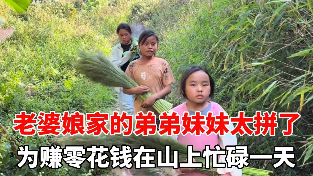 老婆娘家的弟弟妹妹太拼了，为赚零花钱在山上忙碌一天，真不容易！【老挝媳妇杨芭菇】