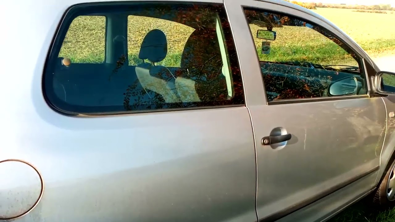 Mein VW Fox