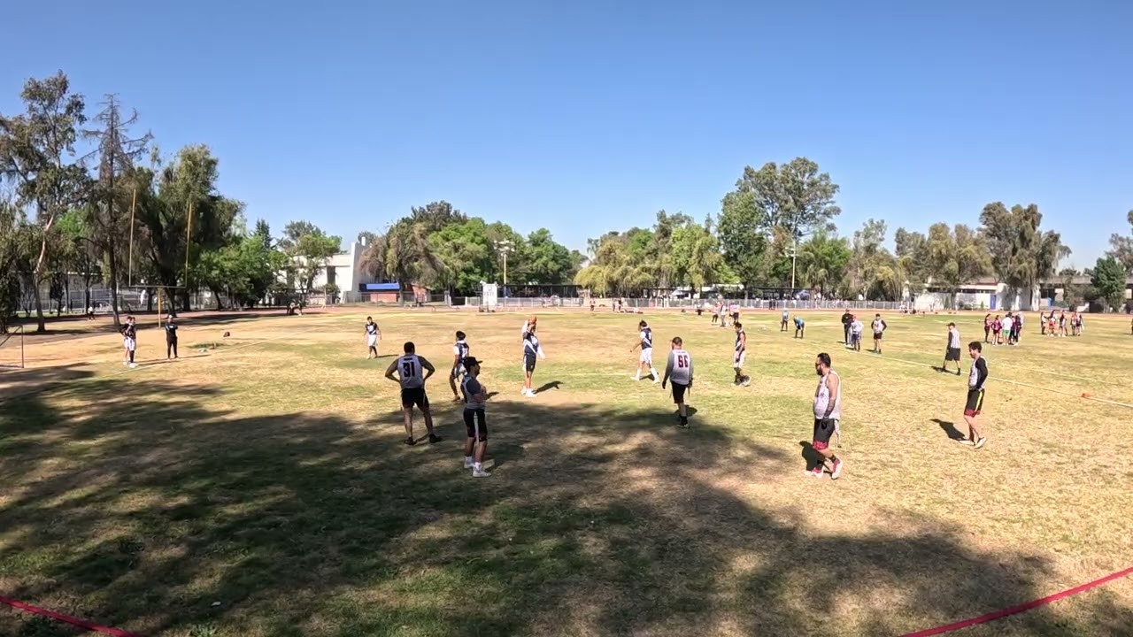 Craneos vs Halcones (parte2)