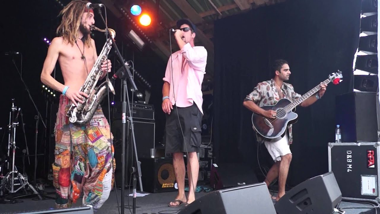 The Inexplicables - Ravin Raven