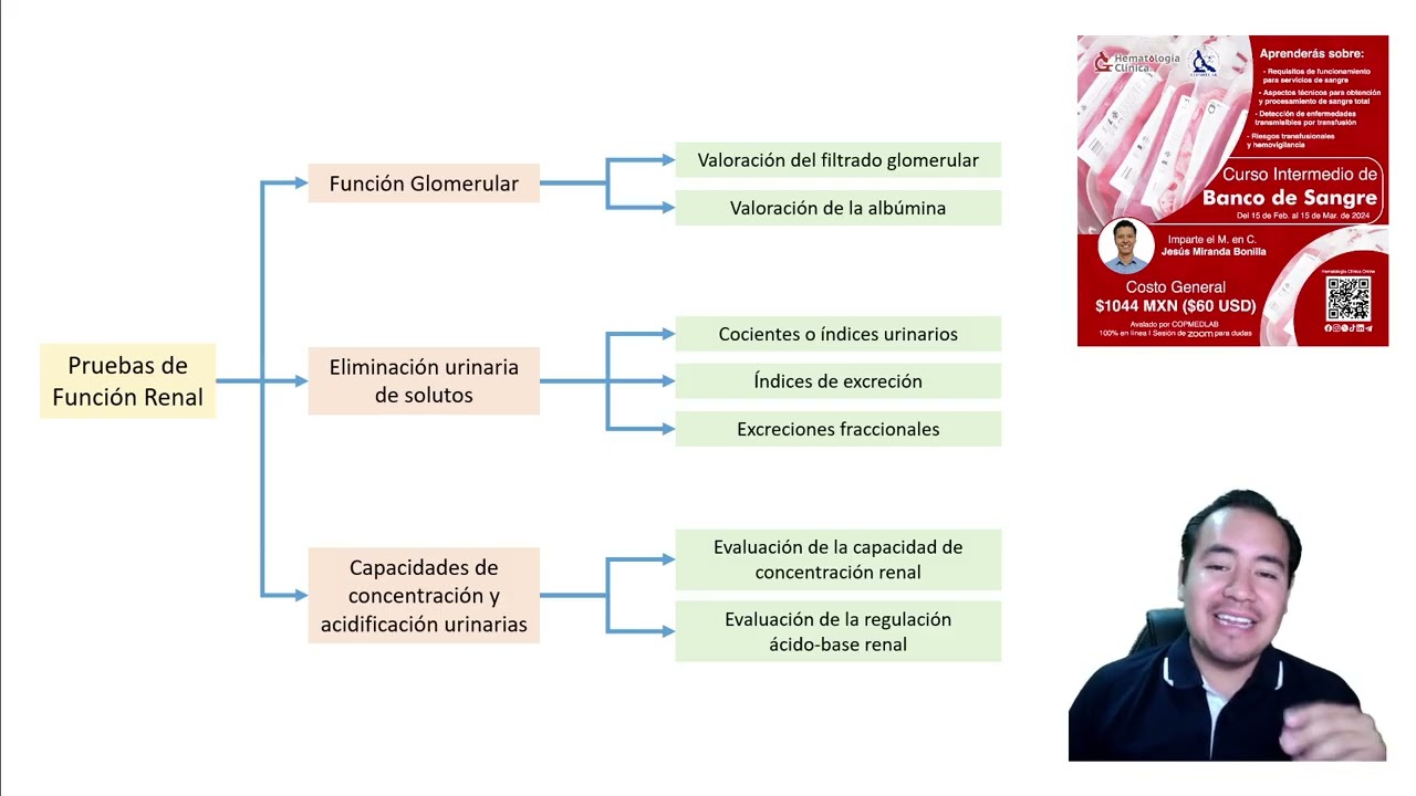 Función renal