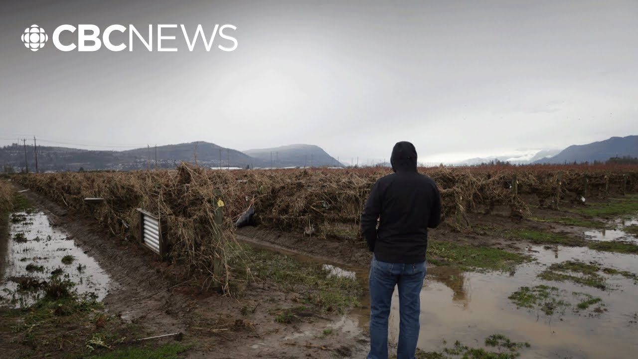 Abbotsford businesses affected by flooding