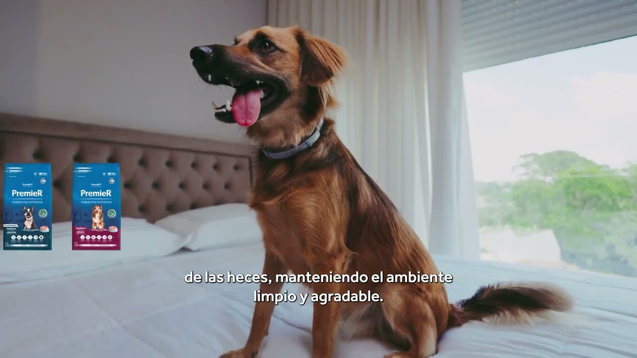 PremieR Ambientes Internos  | PremieRpet Latam