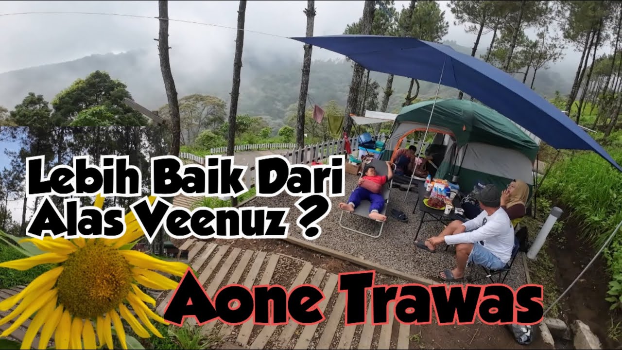 Aone trawas camping ground  lebih baik dr alas veenuz trawas? lebih indah,dingin, luas, alami???