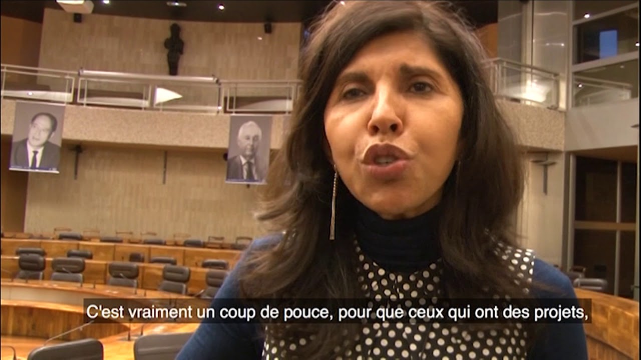 Lien social n°25 - le Tremplin pour l’Activité des Jeunes ( TAJ)