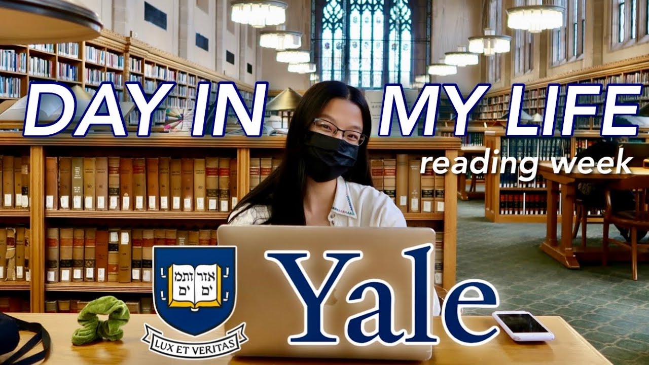 A Day in My Life at Yale During Reading Week
