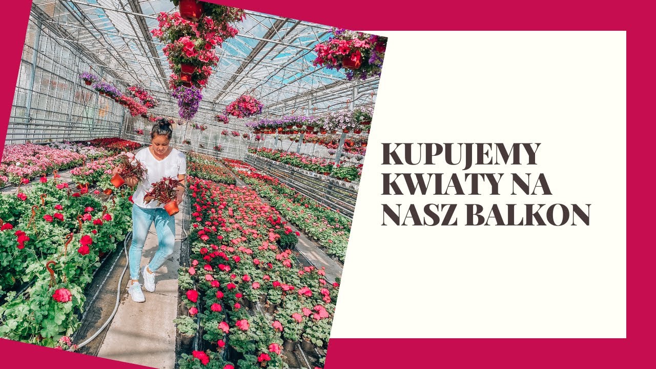 KUPUJEMY KWIATY NA NASZ BALKON 🌸
