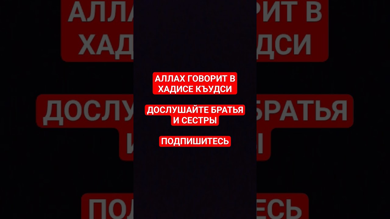 АЛЛАХ СКАЗАЛ В ХАДИСЕ КЪУДСИ | #quran #islam #религия