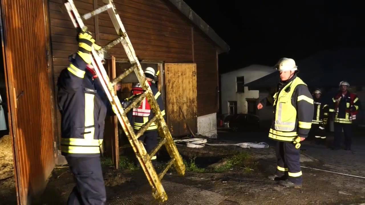 Kuh aus Güllegrube befreit