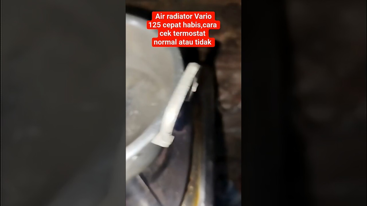 cara cek termostat Vario 125 normal atau tidak #shorts