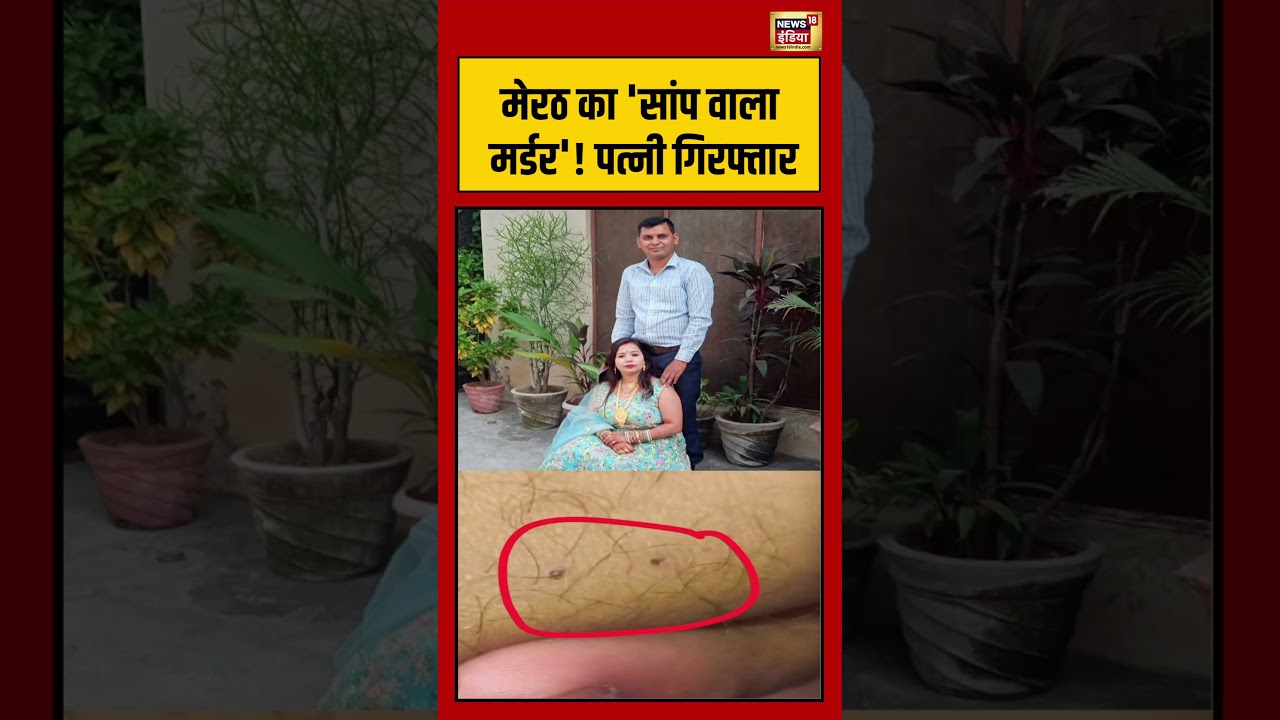 Meerut Snake Murder Case | मेरठ का 'सांप वाला मर्डर'! पत्नी गिरफ्तार| #shorts #viralvideo #viralnews