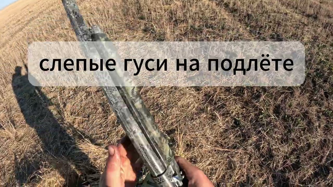 ОХОТА НА ГУСЯ в одиночку. 