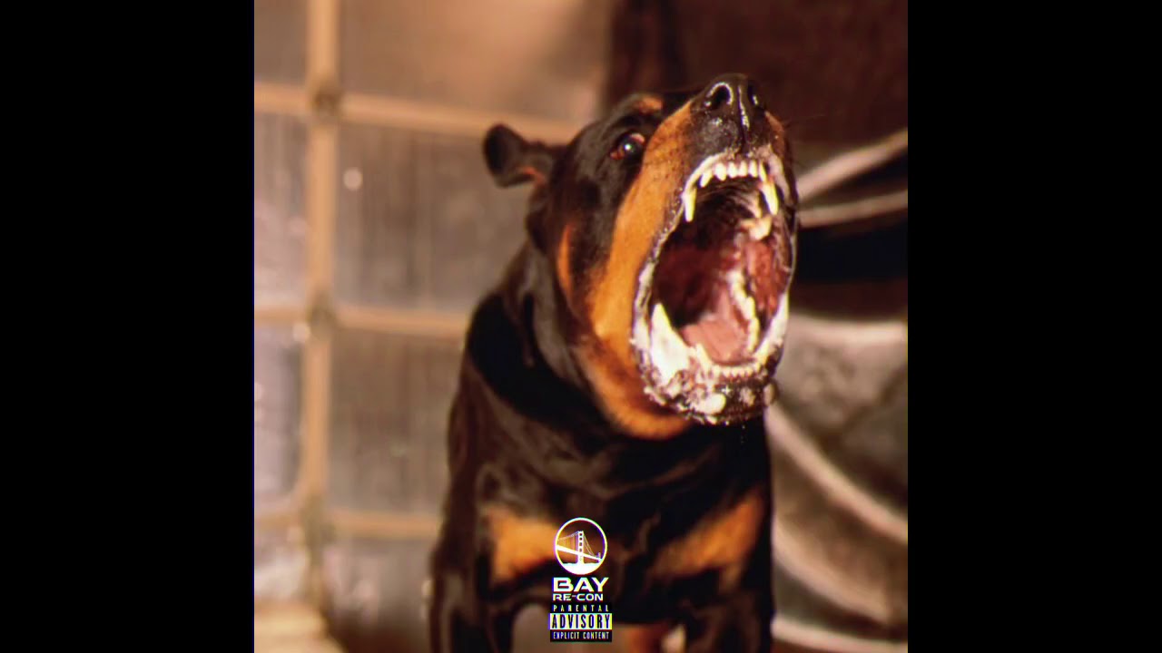 Toreezy x Young SG x Slickmobb x Silent200 - DOG (Audio)