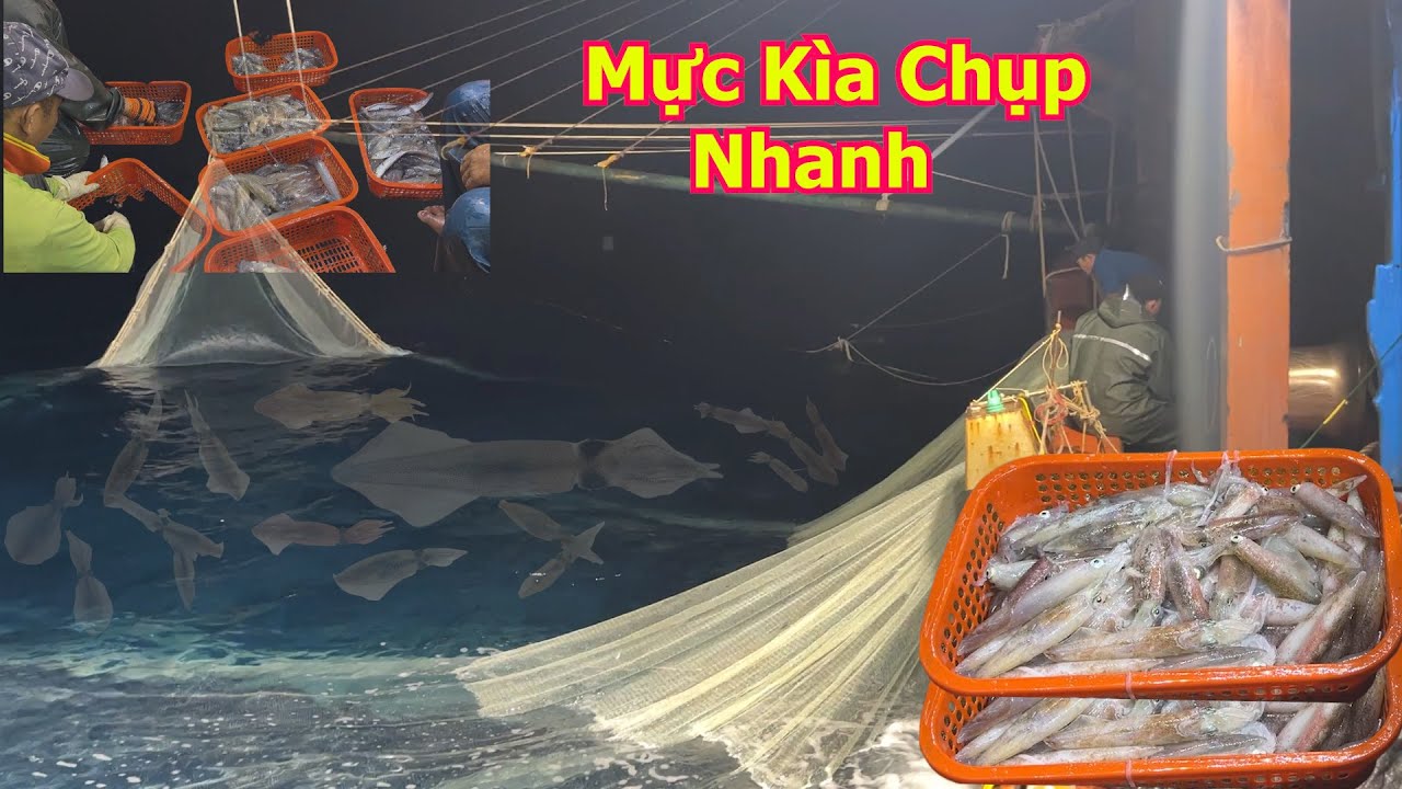 Mành chụp 4 xào anh Ngọc những nhát chài đầy mực và tạm biệt anh em trên thuyền để vào bờ - Dân Biển