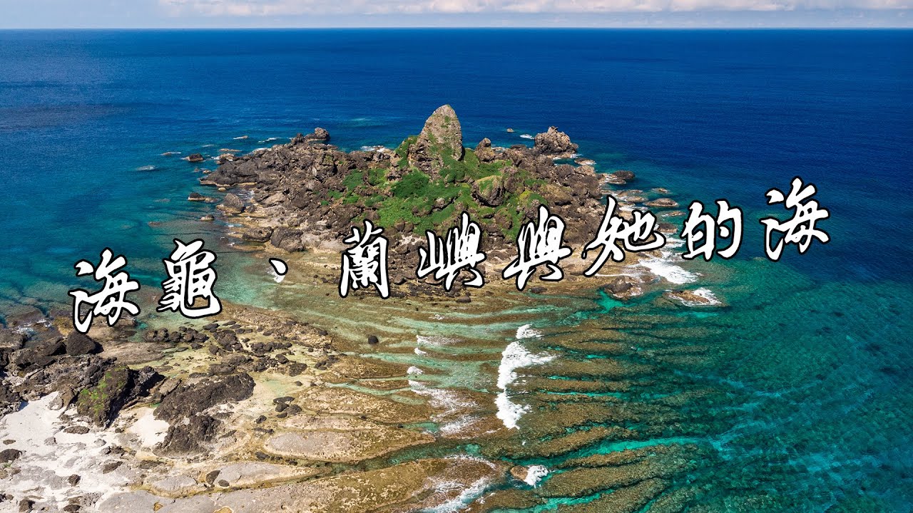【蘭嶼、海龜與她的海】_一個行動讓海洋更好-海洋保育署競賽短片亞軍 | ORCHID ISLAND | 自由潛水 FREEDIVING | 台灣 TAIWAN | 海龜志工 | SEATURTLE