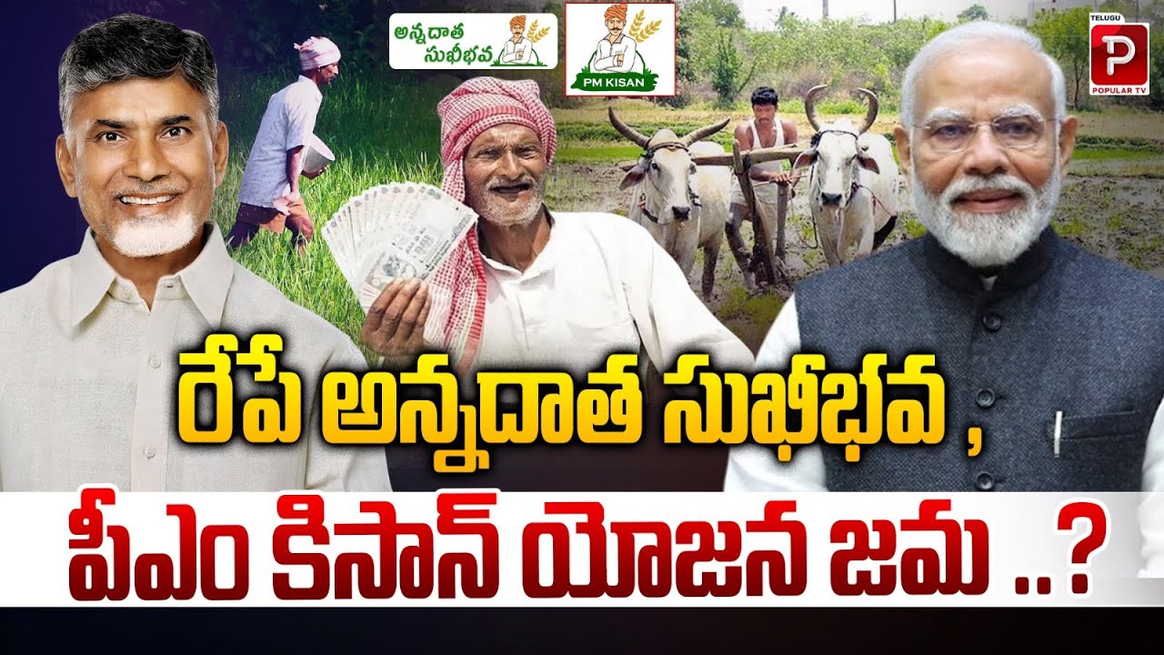 PM-Kisan 21st Installment Tomorrow Farmers Will Receive Funds Directly,Check Status Now | Popular TV