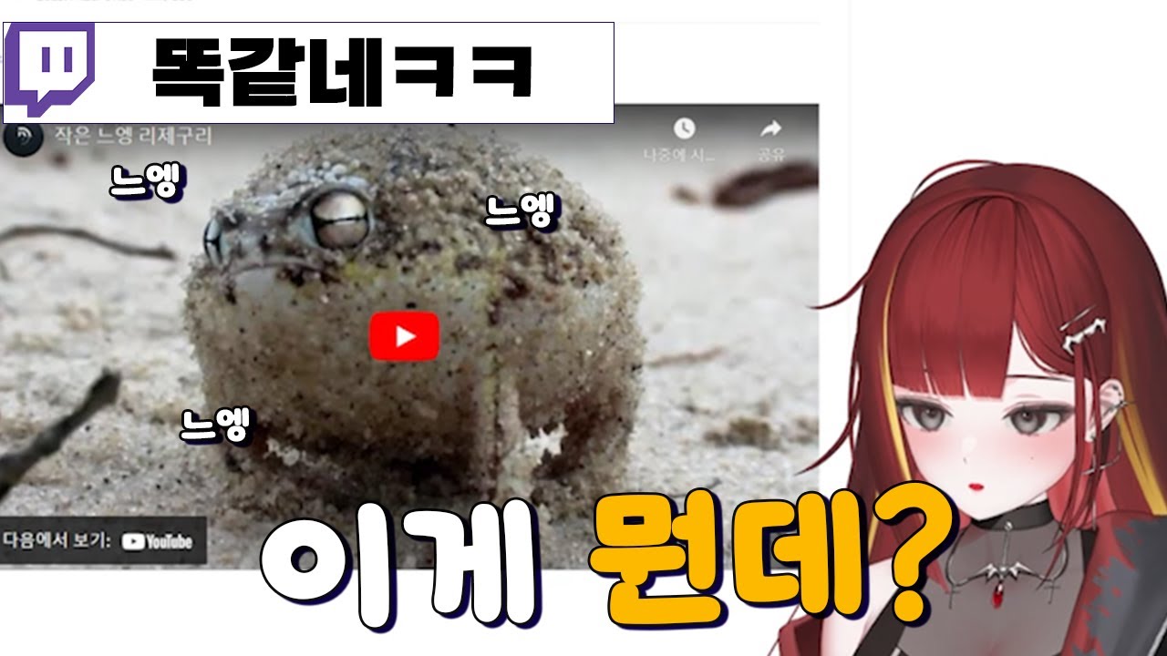 느엥 개구리를 본 리제