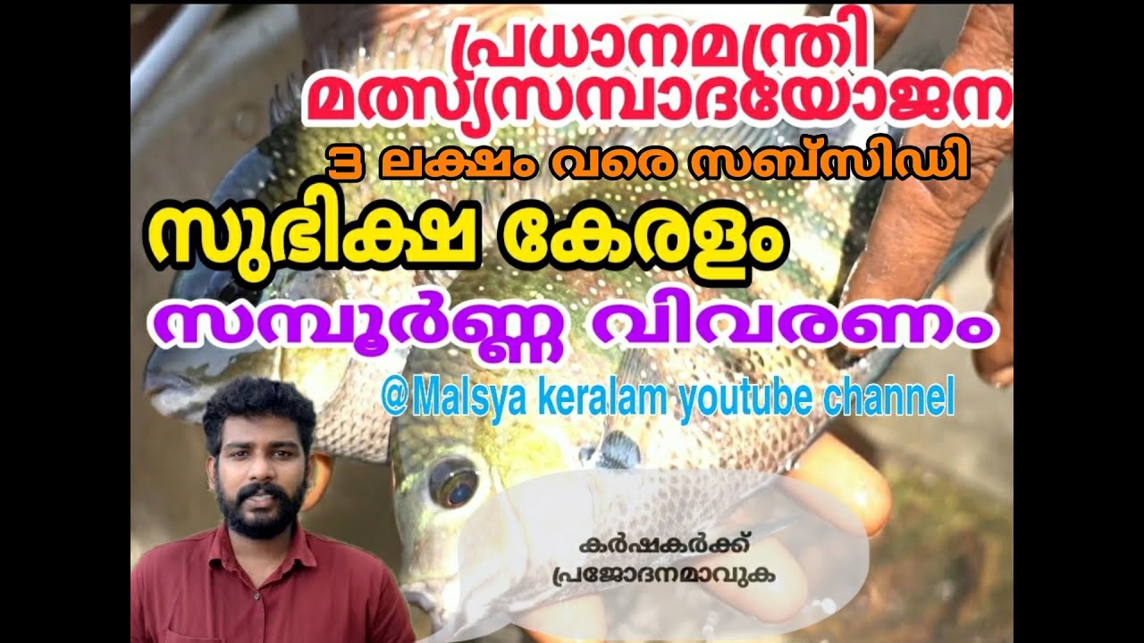 Pmmsy malayalam | പ്രധാനമന്ത്രി മത്സ്യ സമ്പാദയോജന | pmmsy in malayalam | Fish farming kerala |