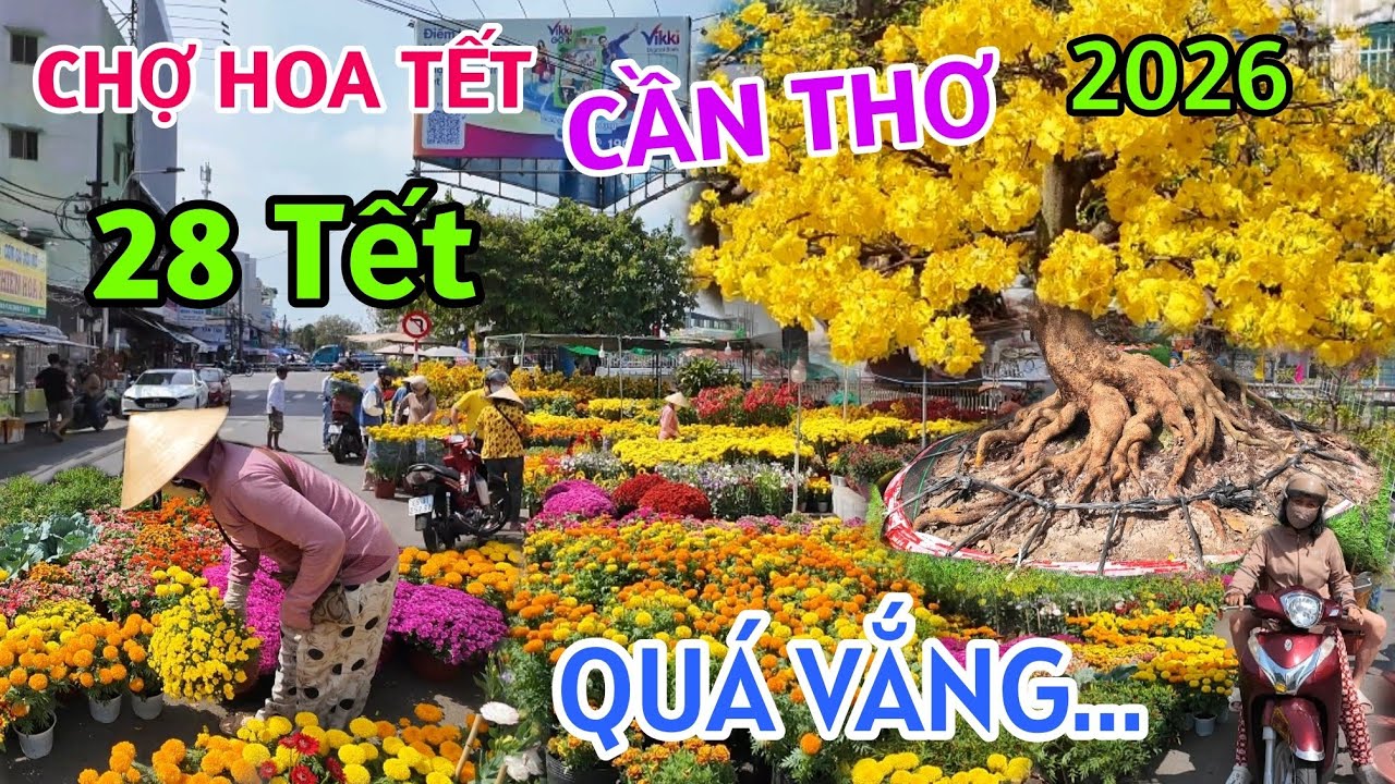 KỲ LẠ CHỢ HOA TẾT RẺ NHẤT CẦN THƠ NHƯNG VẪN VẮNG KHÁCH KHIẾN NHIỀU TIỂU THƯƠNG HỒI HỘP LO LẮNG