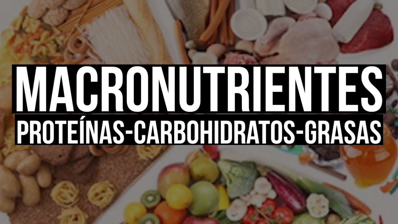 🗣️QU&Eacute; SON LOS MACROS⁉️