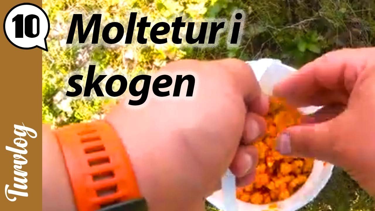 Møltetur i Midt-Telemark | Turvlog 10