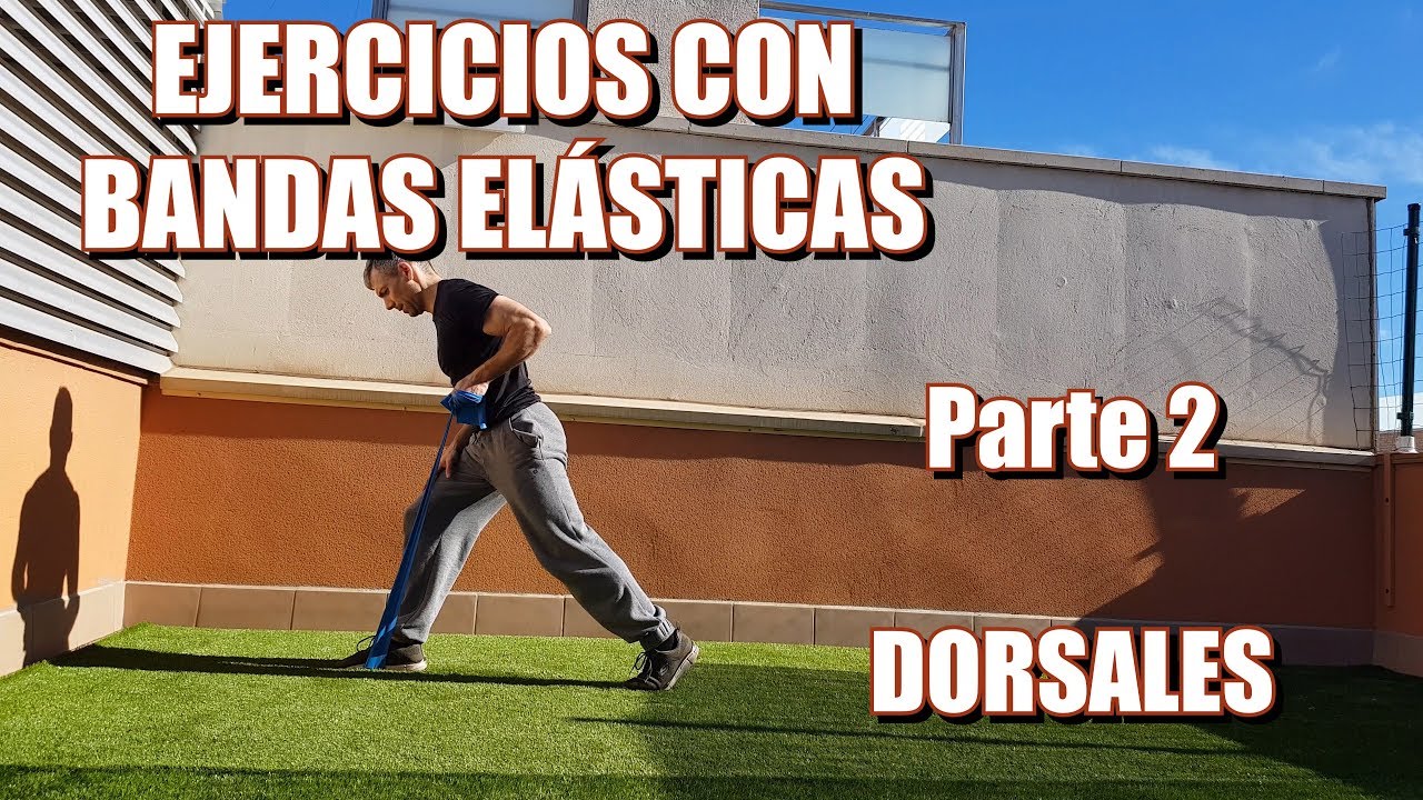 ►Ejercicios para DORSALES con BANDAS ELÁSTICAS 🔥🔥🔥[+10 EJERCICIOS]