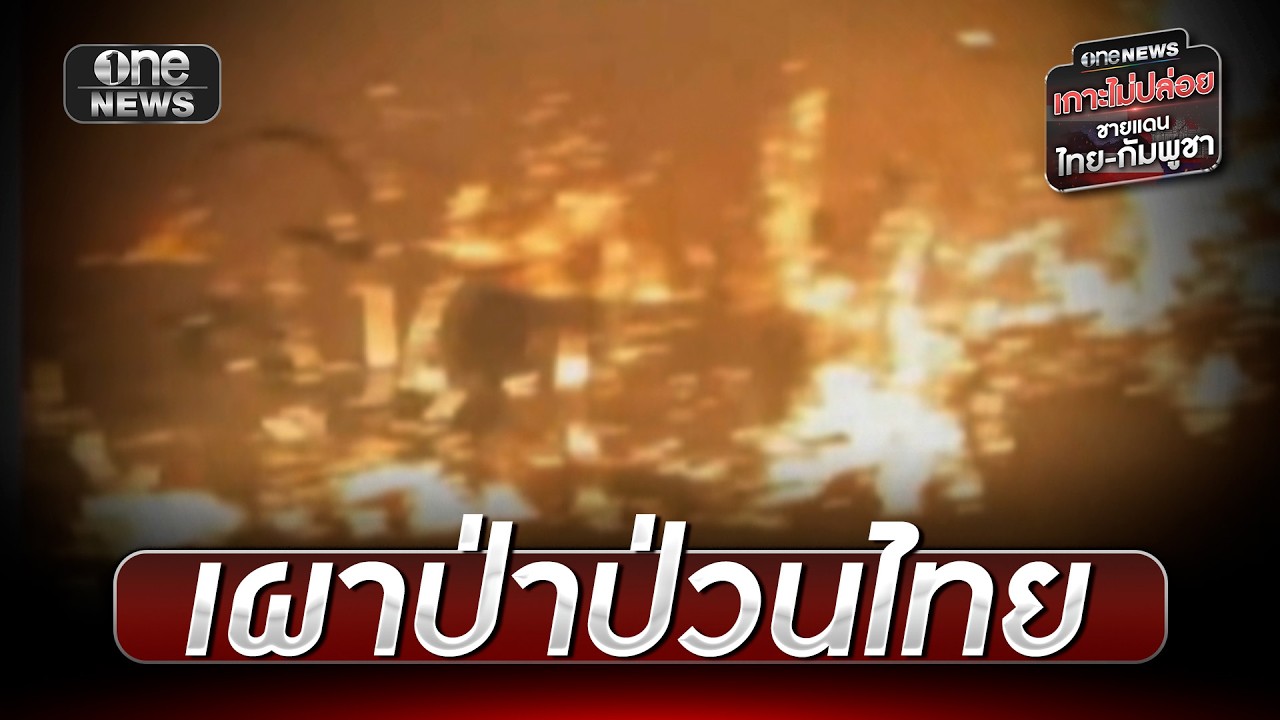 กัมพูชาเผาป่าป่วนไทยลมเปลี่ยนทิศหวนเข้าตัวเอง | ข่าวเย็นช่องวัน | สำนักข่าววันนิวส์