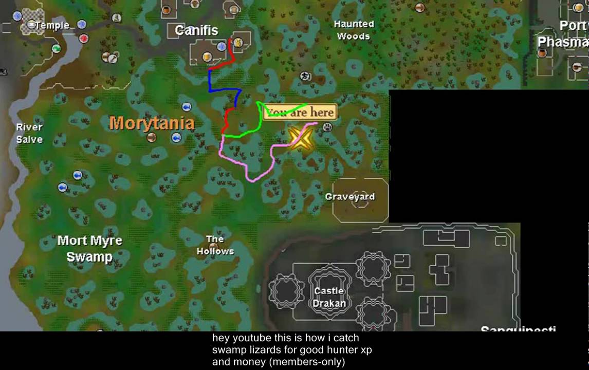 runescape swamp lizard guide how to catch a swamp lizard