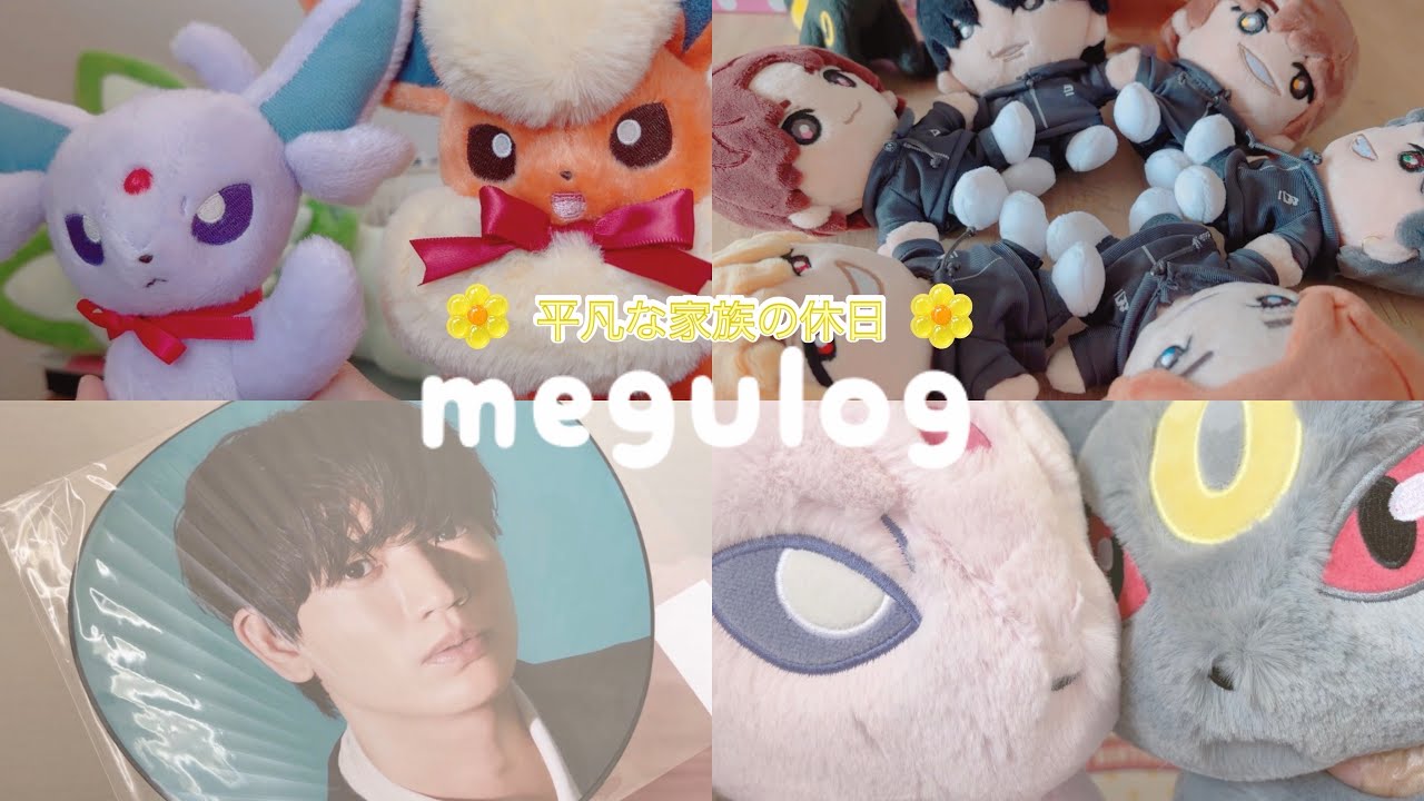 〖vlog〗購入品紹介♡SixTONES💎/ポケモンセンターオンライン/ぬい活グッズ☘️