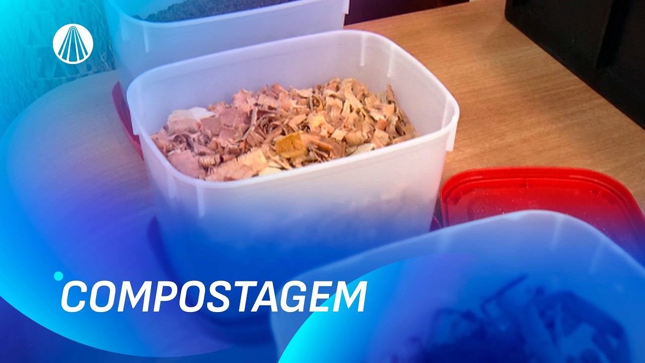 Compostagem: o que é, como fazer e quais os benefícios práticos | Viva a Tarde