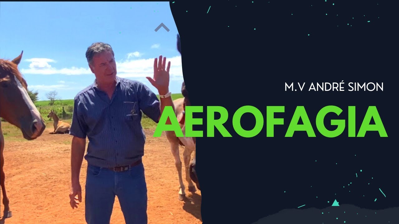 Aerofagia - Cavalo que engole ar, o que fazer?! | M.V André Simon