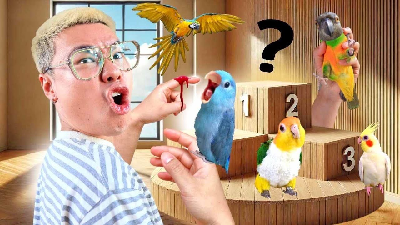 นกในบ้านถูกจัดอันดับ!!🏅 3 อันดับนกแก้วน่าเลี้ยงในบ้านท็อป ??
