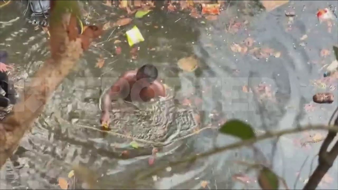 മലപ്പുറം ചെമ്പിക്കലിൽ ലോറി കുളത്തിൽ വീണു; ഒരാൾ ലോറിയിൽ കുടുങ്ങിക്കിടക്കുന്നു, രക്ഷപ്പെടുത്താൻ ശ്രമം