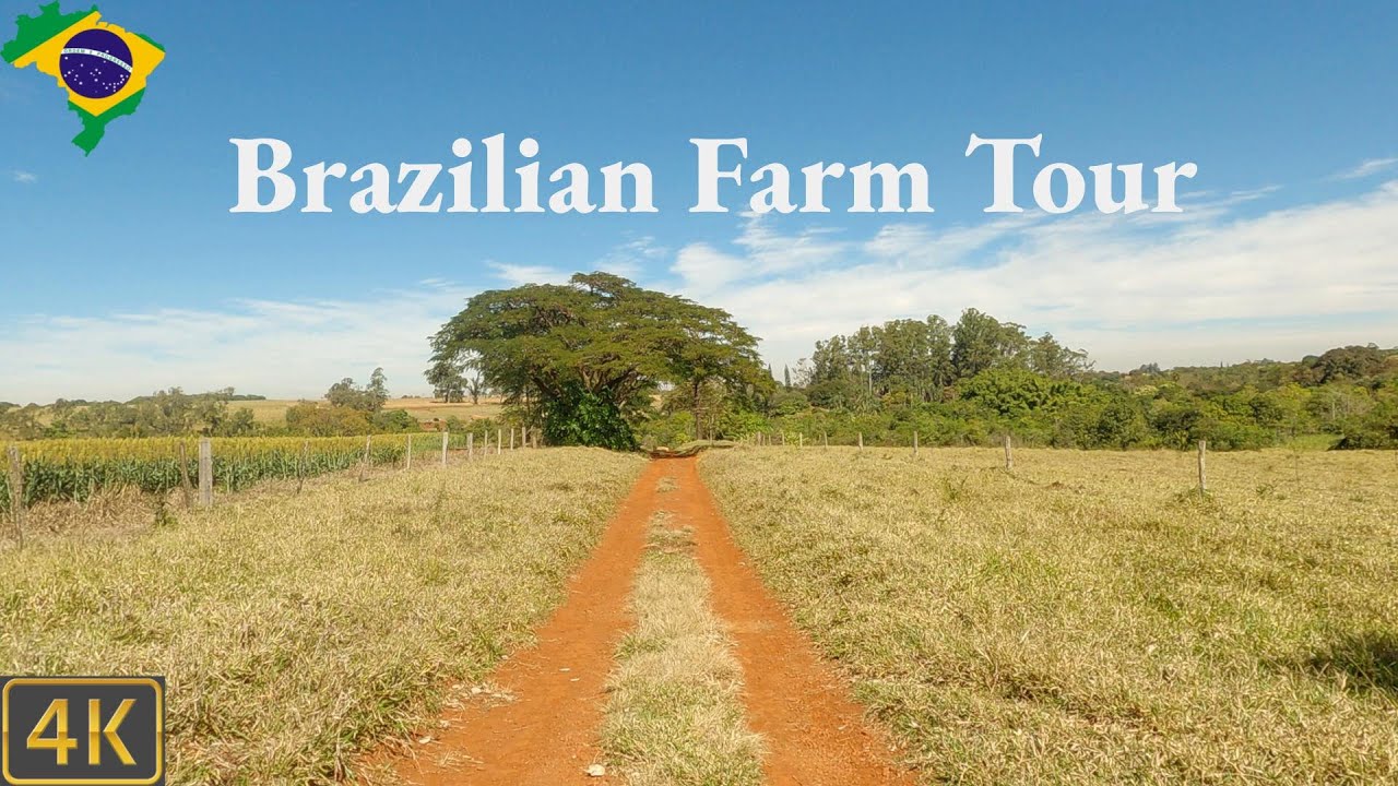 Driving Brazil 🇧🇷 | Brazilian Sustainable Farm Tour 4K Scenic Drive