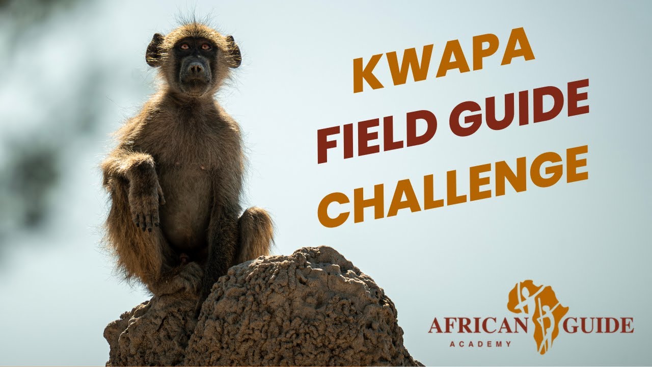 Kwapa Tracks: Interactive Field Guide Challenge - African Guide Academy