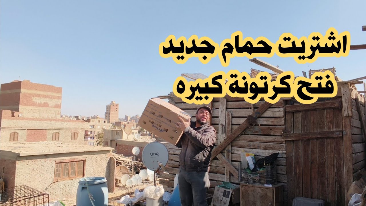 فتح كرتونة حمام كبيره أنواع مختلفة متع عيونك معانا يا غاوي اشتريت حمام 💯💯
