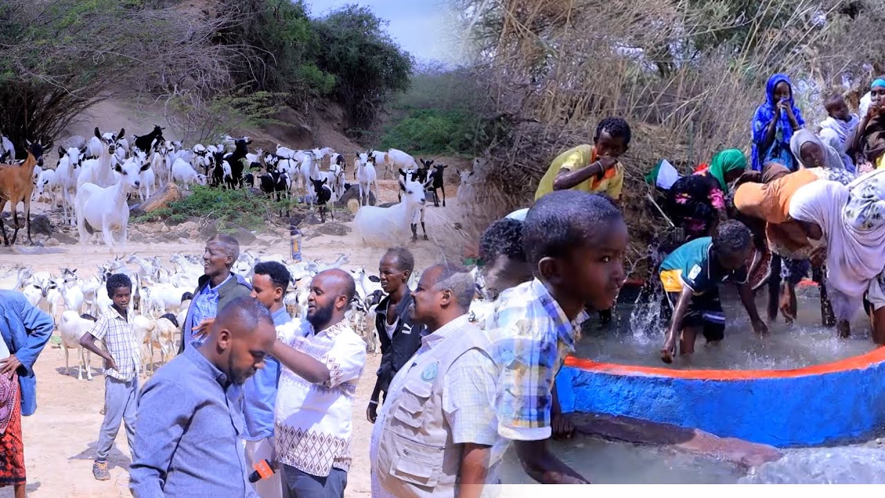 Haayadda Alrahma Ayaa Ceelbiyoodyo kahirgalisay Degaano Hoosyimaada Degmada Agabar.