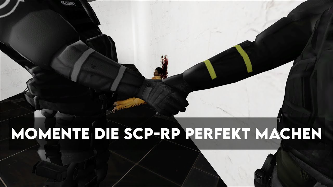 Momente die SCP-RP Perfekt machen